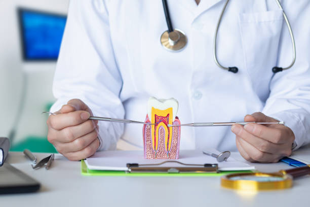 Best Chipped Tooth Repair Near Me  in Rustburg, VA
